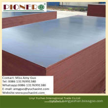 1220*2440mm High Grade Building Template with Low Price